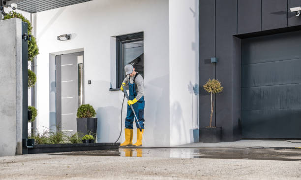 Best Graffiti Removal  in Gonzalez, FL